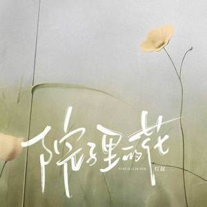 院子里的花（我意气风发像偷了你的年华）