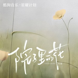 院子里的花（我意气风发像偷了你的年华）