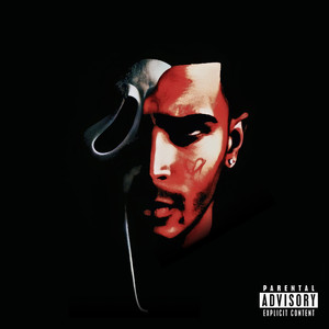 Dark Knight Rises (Explicit)