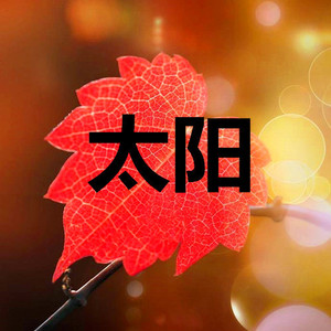 你是我唯一的执著