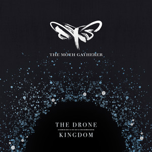 The Drone Kingdom