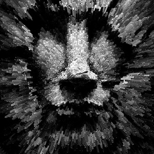 RITIMADA CRIMINOSA (Explicit)