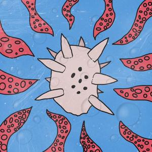 PUSSY RAPPERS (Explicit)