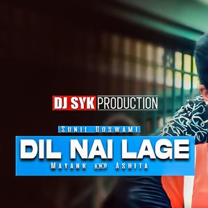 Dil Nai Lage(feat. Mayank N & Aashita A)