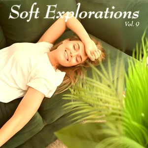 Soft Explorations, Vol. 9