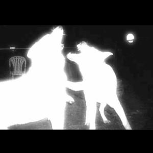 Trust Issues (feat. kysixn) (Explicit)