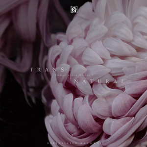 Flickering Lights (Aleja Sanchez Remix)