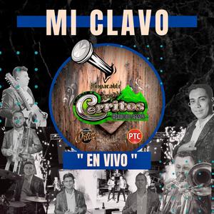 Mi Clavo