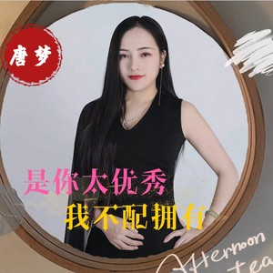 是你太优秀我不配拥有 (伴奏)