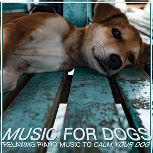 Puppy Music Zone