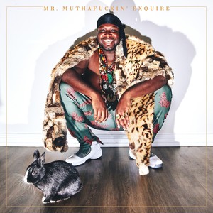 Mr. Mutha****in' eXquire