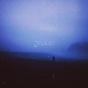 rainforest (slowed + reverb)