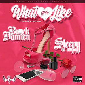 What You Like (feat. Sleepy Da Hitman) (Explicit)