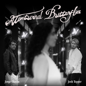 Nocturnal Butterflies