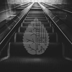 On The Rocks (Original Mix)