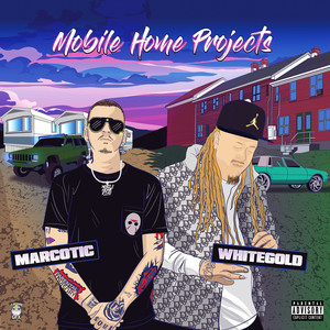 Mobile Home Projects (Explicit)