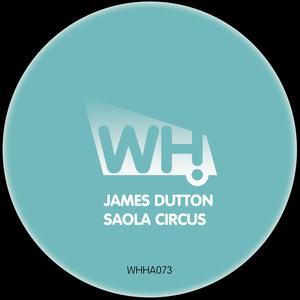 Saola Circus (Tim Andresen Remix)