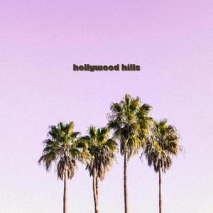 hollywood hills