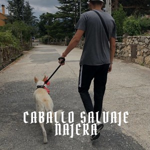 Caballo Salvaje