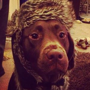 hit a lick (Explicit)