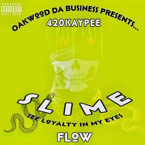 SlimeFlow (Explicit)