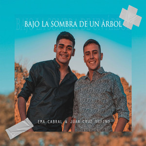 Bajo la Sombra de un Árbol