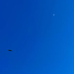 Go!n r!ght !n (Explicit)