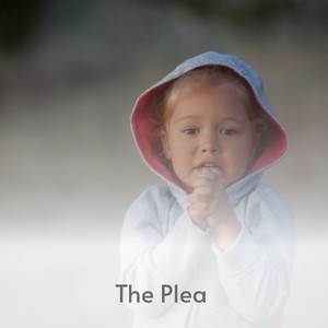 The Plea