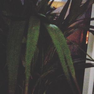 (Summer vibe) Trippple