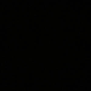 Bering Sea