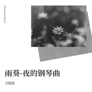 夜的钢琴曲