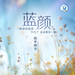 你会在哪里