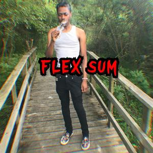 Flex Sum (Explicit)