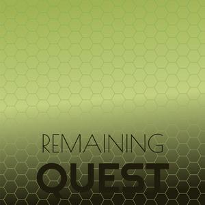 Remaining Quest