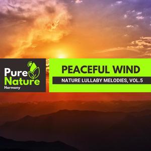 Peaceful Wind - Nature Lullaby Melodies, Vol.5