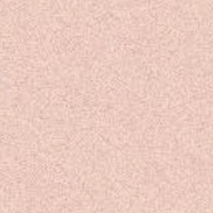 BROKE BOI (feat. wokely) (Explicit)