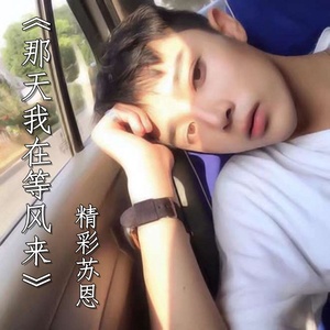 那天我在等风来