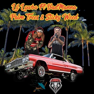 Palm Trees & Sticky Weed (feat. Bad Manna) [Explicit]