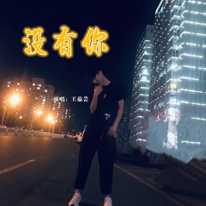 王茹芸 - 没有你 (伴奏)