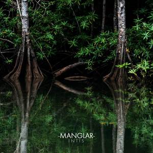 Manglar