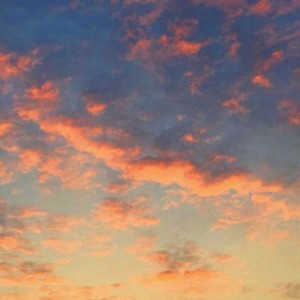 Where Are All My Friends?(feat. SylumGone & Wednesday) (Explicit)