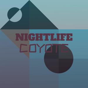 Nightlife Coyote