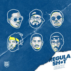 Regular **** Rmx (Explicit)