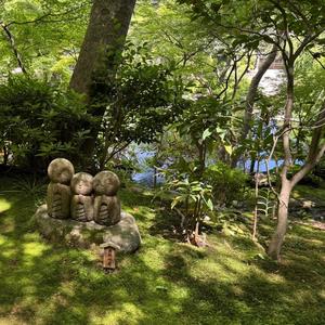 astrud's way of life