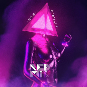 Punisher (复仇者)