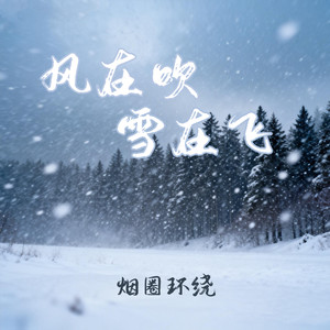风在吹雪在飞封面