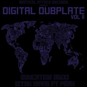 Digital Dubplate, Vol. 2