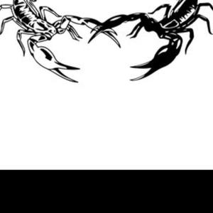 Two Scorpios-DK1106
