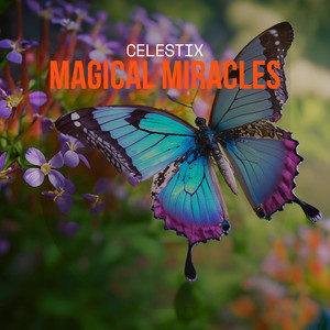 Magical Miracles