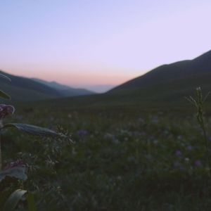 Distant Memories (Single Edit)